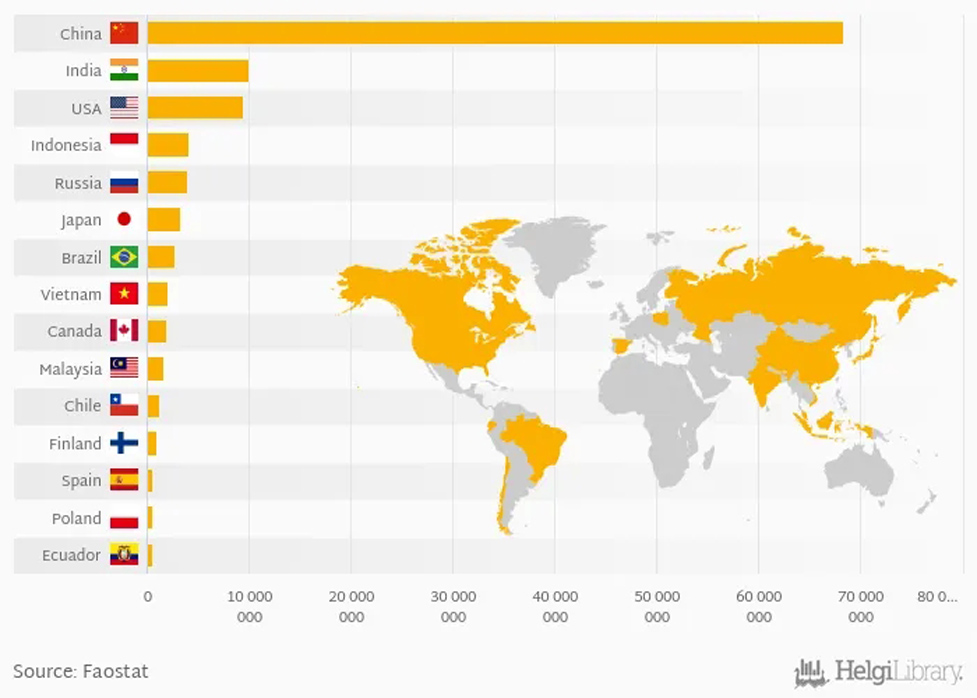 Russian plywood industry Impacted by Sanctions